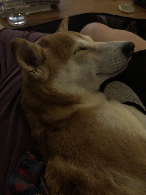 Happy sleepy baby https://t.co/rLTi4lQtdM