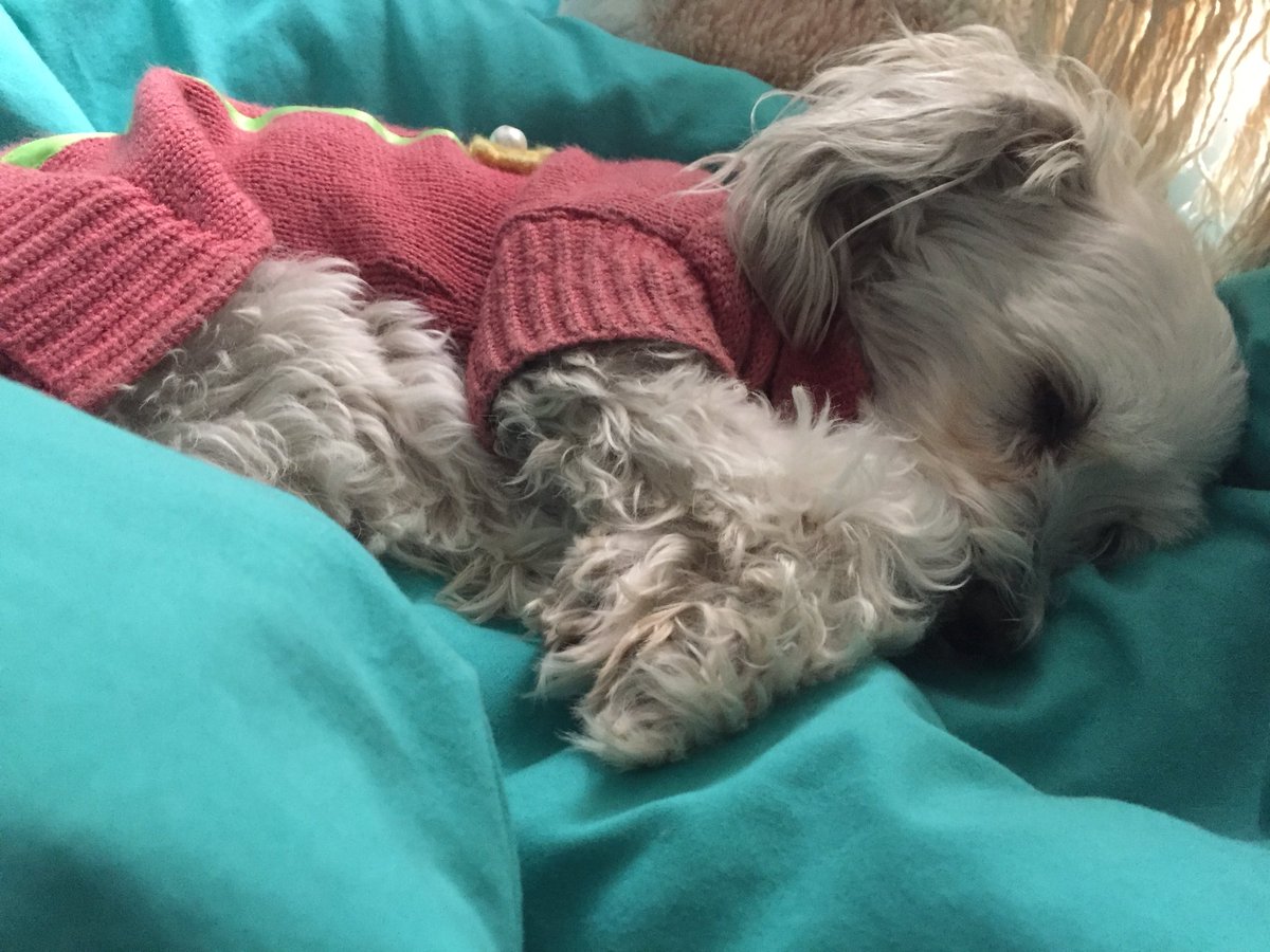 Mi bebe dormida 💤 que linda se ve