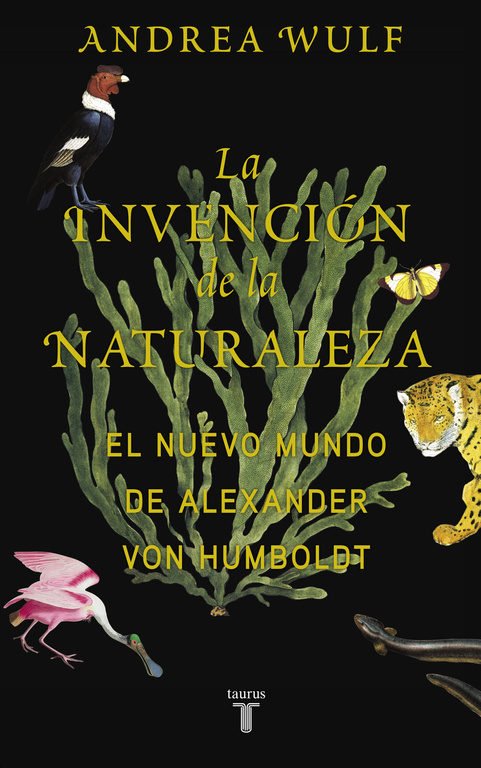 Maldita_berna's tweet photo. Haciendo este recuento me di cuenta que lo que + leí de #soloautoras fue no ficción: Rosa Sala Rose x @Acantilado1999 María Negroni x @Vaso_Roto, Chimamanda Ngozi Adichie y Andrea Wulf x @megustaleer #Lecturas2017 https://t.co/0X3gO20wWM