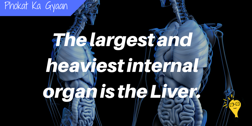 BEINGiShMART's tweet photo. #DidYouKnow 
#Phokat_ka_Gyaan #Fact #Facts #352 https://t.co/OW98huF1WV