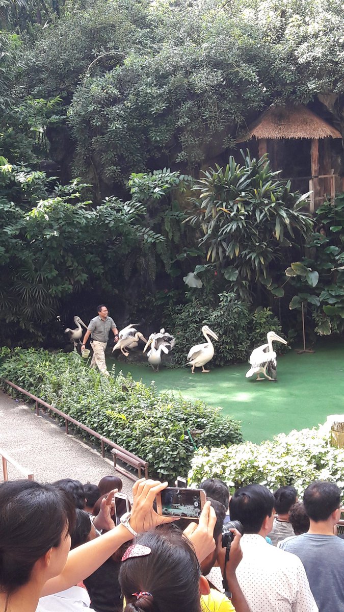 Nguyenvandam889's tweet photo. Khu bảo tồn động vật https://t.co/b00jNbDkOe