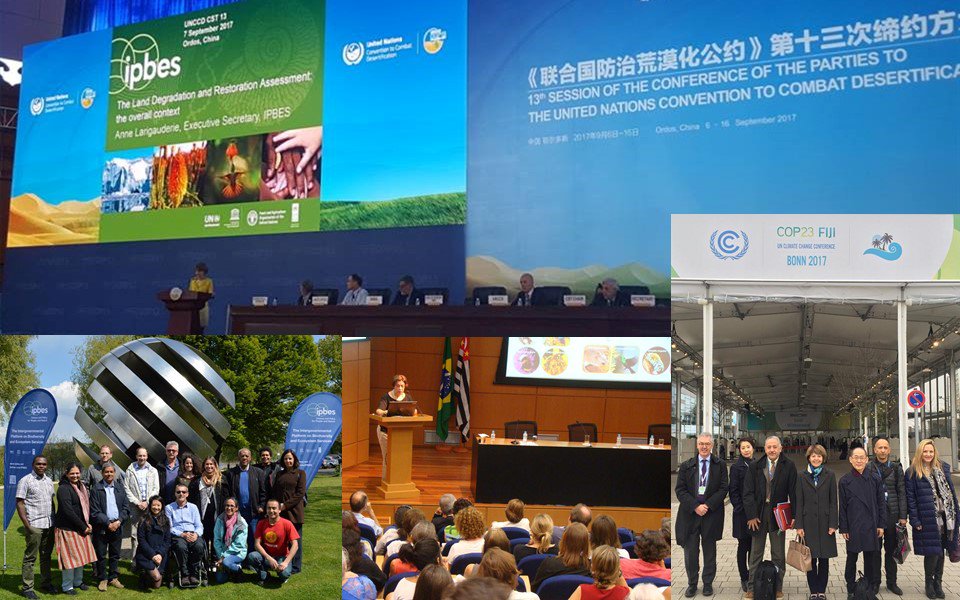 IPBES's tweet photo. After #IPBES5 in March, a major event was #2017WDCD about the Land Degradation Assessment, which will be launched at #IPBES6. Read the primer - https://t.co/v3mUTAgG9J @UNCCD https://t.co/ne5wmeCJpk