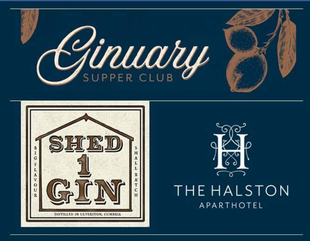 THE HALSTON tweet media