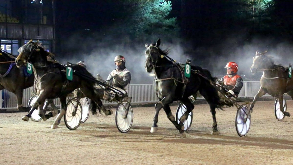 Ravivihje: Viimeistä viedään Vanieren ja Star Martinin kelkassa: Vuoden viimeisen Toto65-kierroksen erikoisuutena ravataan neljän ratakierroksen koitos, jossa erittäin vahvoilla on kovakuntoinen Star Martini. Vihjesysteemin toiseksi varmaksi… dlvr.it/Q7mYcj #ravit