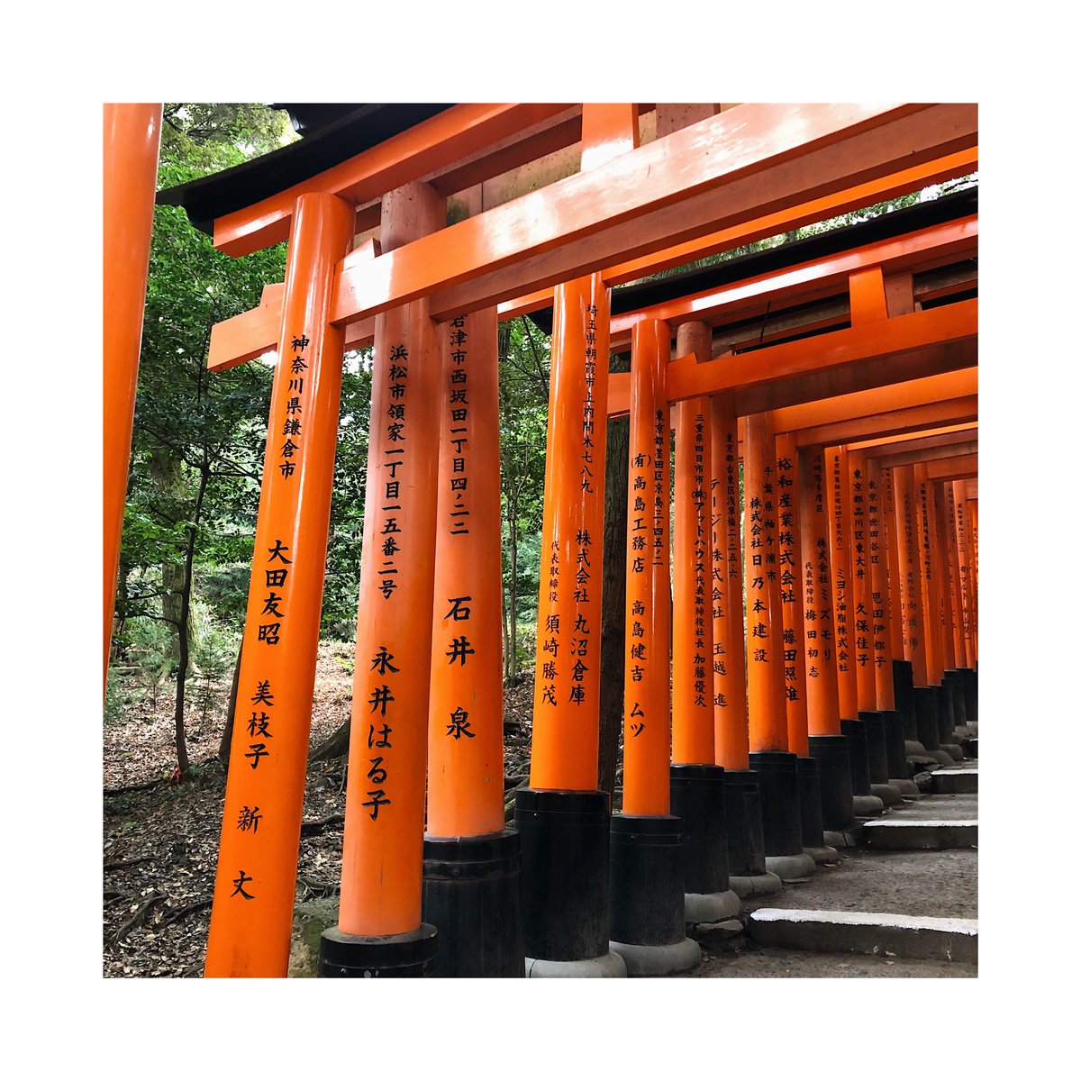 honochii0114's tweet photo. ずっと行きたかった場所へ⛩🍡🍵 https://t.co/55WKYsXZIV