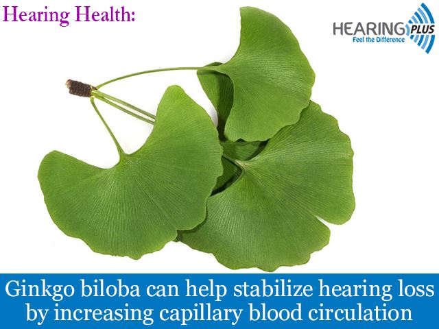 #HearingHealth:

Ginkgo biloba can help stabilize hearing loss by increasing capillary blood circulation.

#DidYouKnow #Organic #Health #Healthy #Tips #HumanHearing #HearingScience