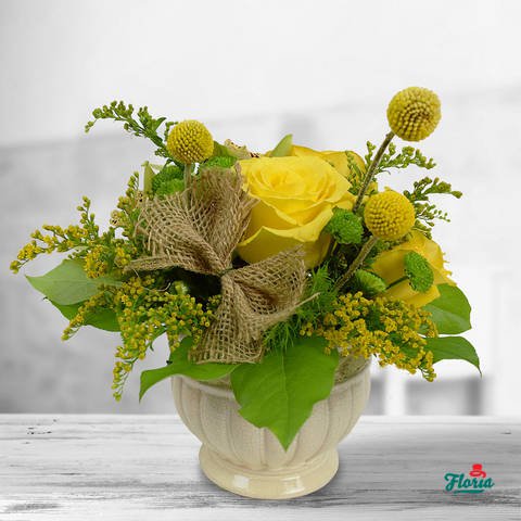 FloriaRo's tweet photo. Just when you thought it was over… it’s not! We have even more reasons to celebrate! The third Christmas day we celebrate Saint Stephen! Help them celebrate! 💐🎂🍸#Floria #Flowers #HappyNameDay
--> https://t.co/IBSkmQhk3i https://t.co/83AXPEDC6U