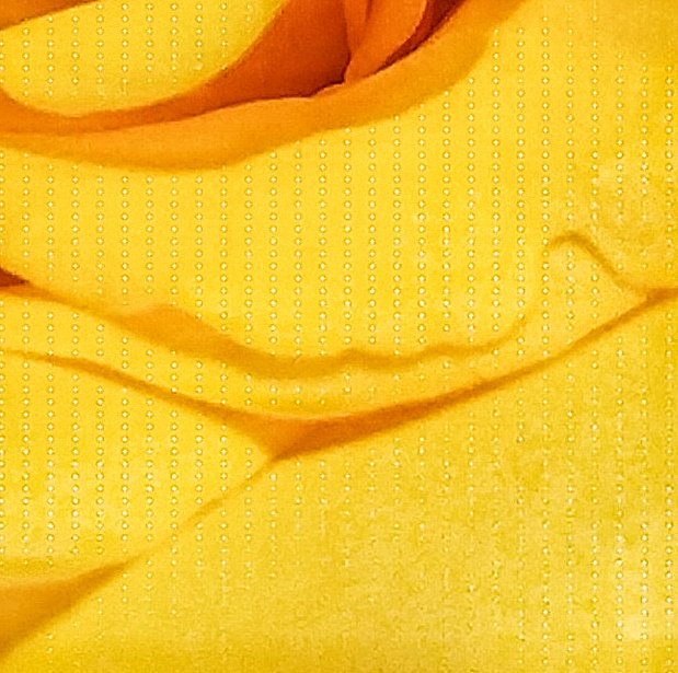 ankit_gawde10's tweet image. @oneplus #Oneplus5 #CameraProblem. Anyone facing same issue when clicking in #Portraitmode #DepthMode ?? 
@OnePlus_IN
@OnePlus_Support
@OnePlus_UK

forums.oneplus.net/threads/oneplu…