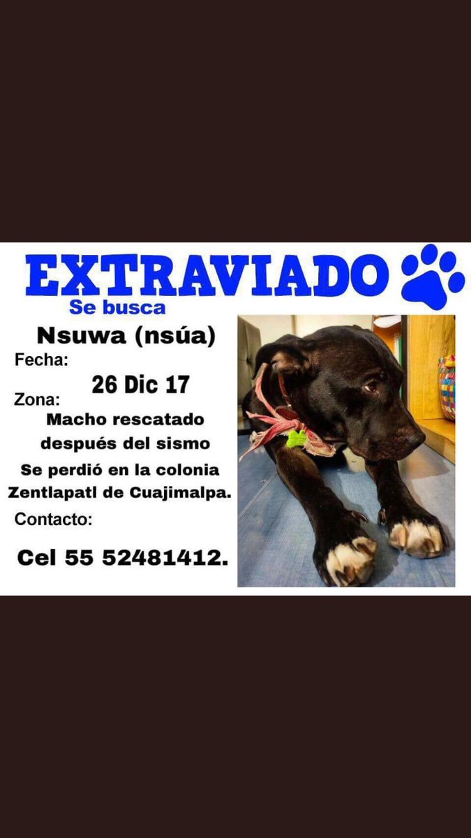 michperezof's tweet photo. 🐾♥️Me ayudarían con un RT por favor? ☹️  Gracias!🙏🏻♥️🐾 https://t.co/6ozaiqLpyl