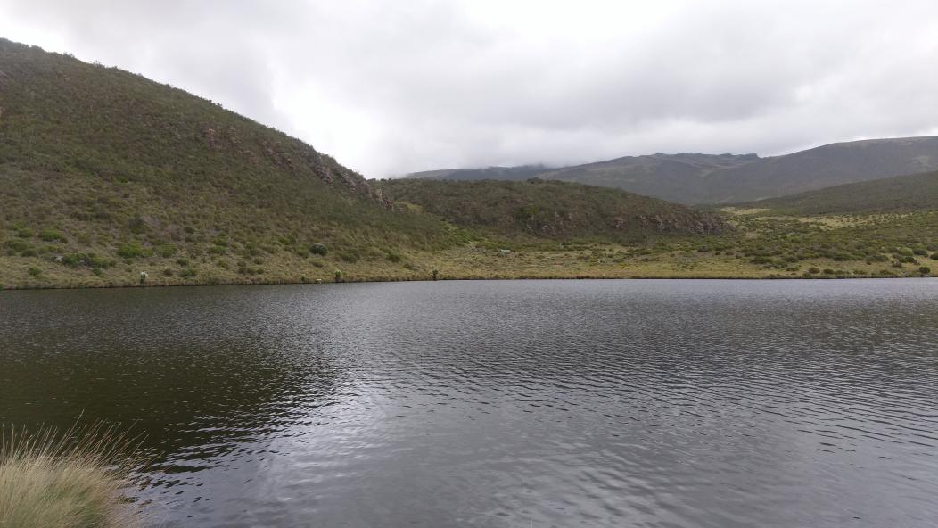 ms_mutegi's tweet photo. #DiscoveringTNC #DiscoveringKwsParks #TravelLocal #ThisIsMyKenya #MagicalKenya #MtKenya #chogoriaGate #LakeEllis with @stellamarismega https://t.co/eJu5P2lO7I