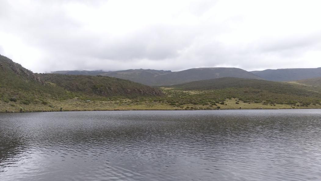 #DiscoveringTNC #DiscoveringKwsParks #TravelLocal #ThisIsMyKenya #MagicalKenya #MtKenya #chogoriaGate #LakeEllis with <a href="/stellamarismega/">@Stellamaris</a>
