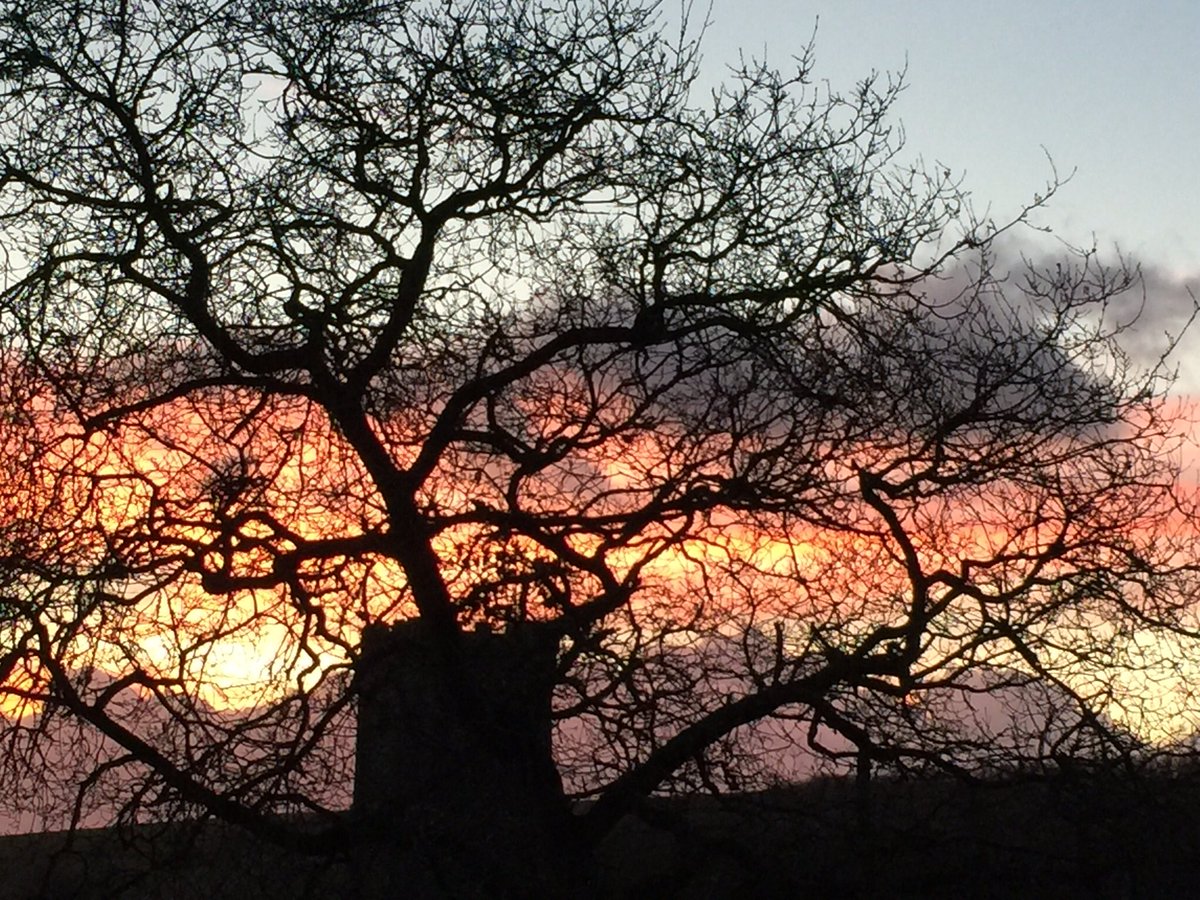 TheOldLibrary4's tweet photo. Red sky in the morning ...#stokenham https://t.co/nj75SJIcxh