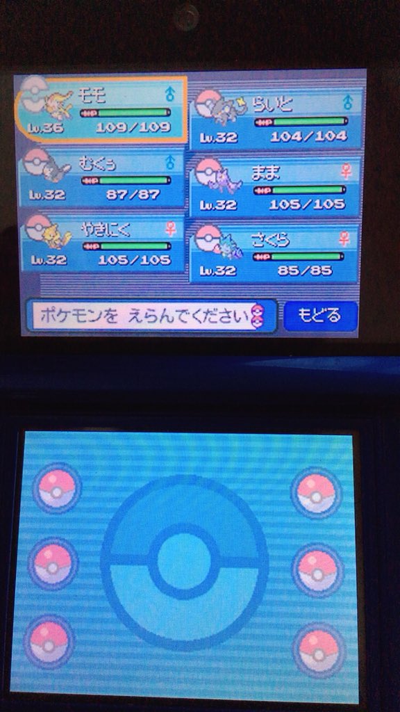 ぼくさん ポケットモンスタープラチナの日記を今日から始めたいと思います バッチ2個でこのレベルなんで すぐに3個目のジム行こうと思います あと フカマルの性格厳選やりましたw ポケットモンスタープラチナ