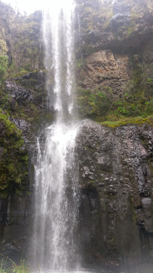 ms_mutegi's tweet photo. #DiscoveringTNC #DiscoveringKwsParks #TravelLocal #ThisIsMyKenya #MagicalKenya #MtKenya #chogoriaGate #NithiFalls #TembeaKenyaNaMimi  with @stellamarismega 

Cc @itisDW https://t.co/Up4i0Chsc8