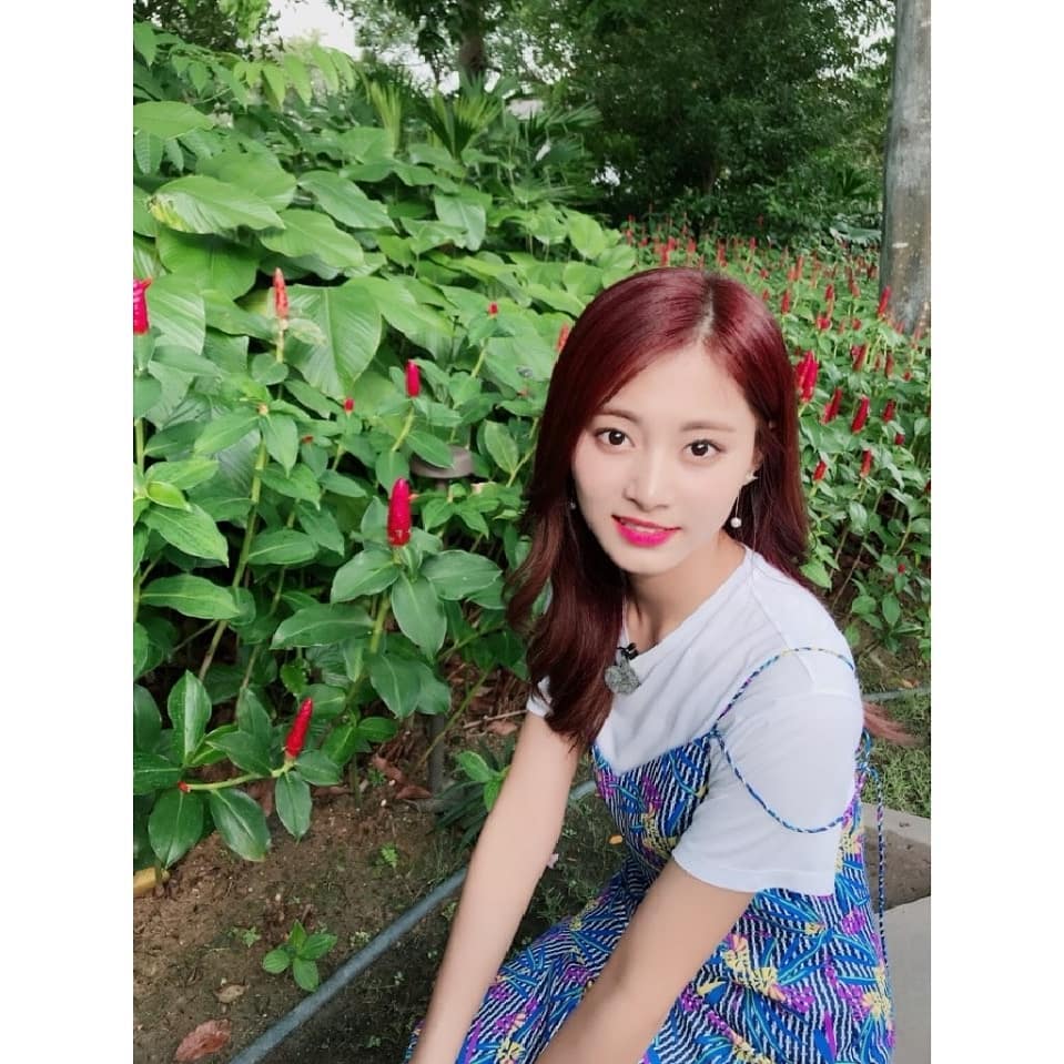 Twice Global Pic Ig Twicetagram Update 2 Twice 트와이스 Tzuyu
