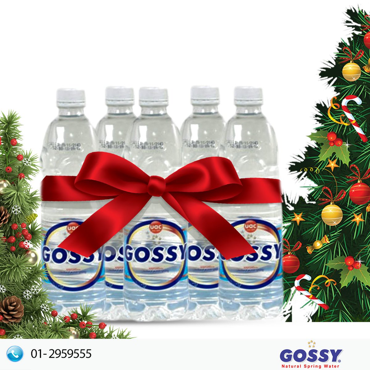 GOSSYWATERS's tweet photo. Still in the spirit of the season? How about a pack of #GossyWater as a gift to your loved ones? https://t.co/ZYdg9TVUWi