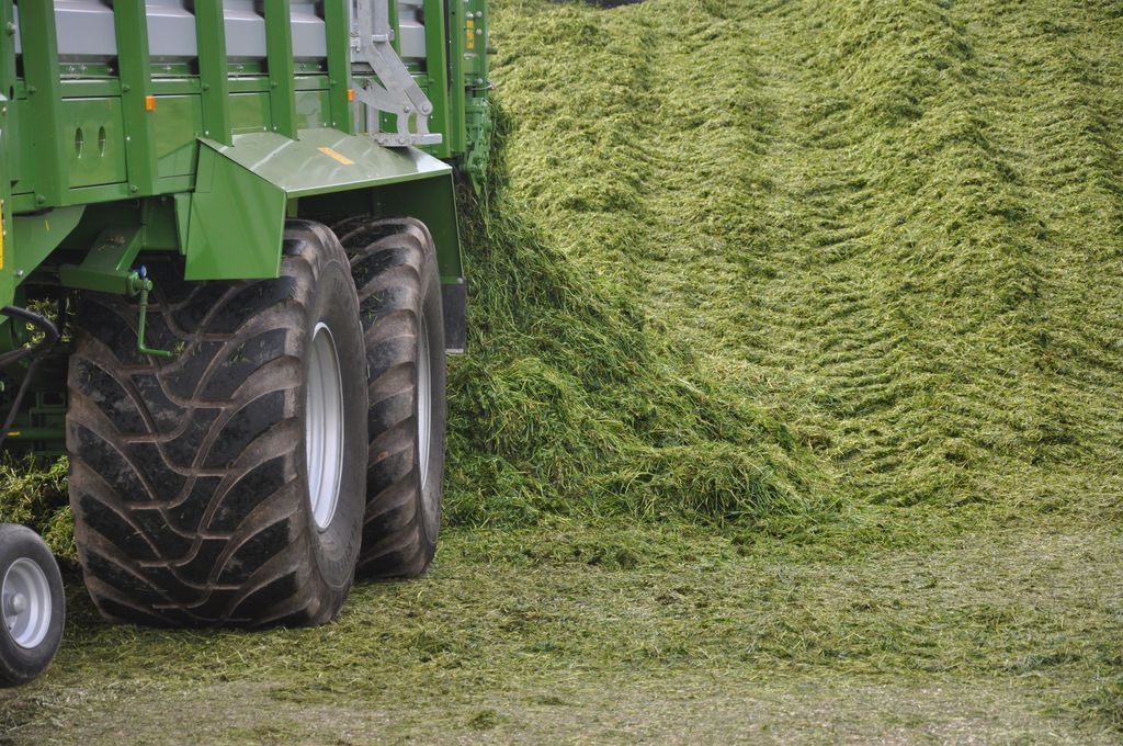 ecosyl_'s tweet photo. What happens when silage goes wrong? Do your silage smell of vinegar?

CAUSES:
🐮 Acetic acid (vinegar) fermentation due to high air levels

#Farm365 #Silage17 #TeamDairy #GrasstoMilk https://t.co/nKPYpsU0oi