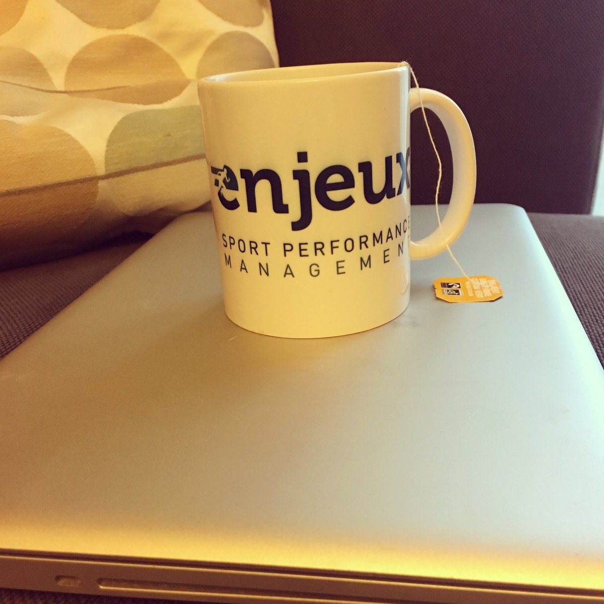 #enjeux 
#workinprogress 
#cadeaudeNoel