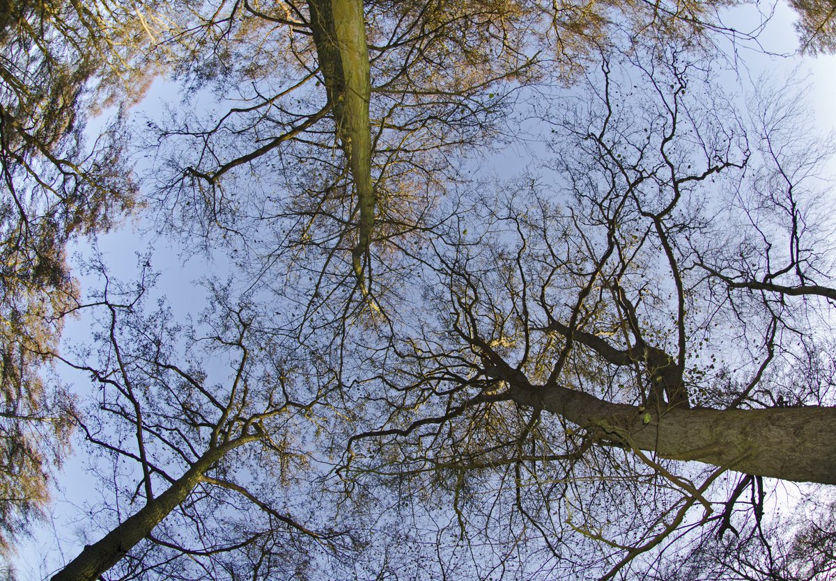 WildlifeTrusts's tweet photo. Millions of visits are made to our nature reserves every year, and more than 100 visitor centres give people a chance to experience wildlife. Will you explore one near you this year? https://t.co/eTh4mTYc7U