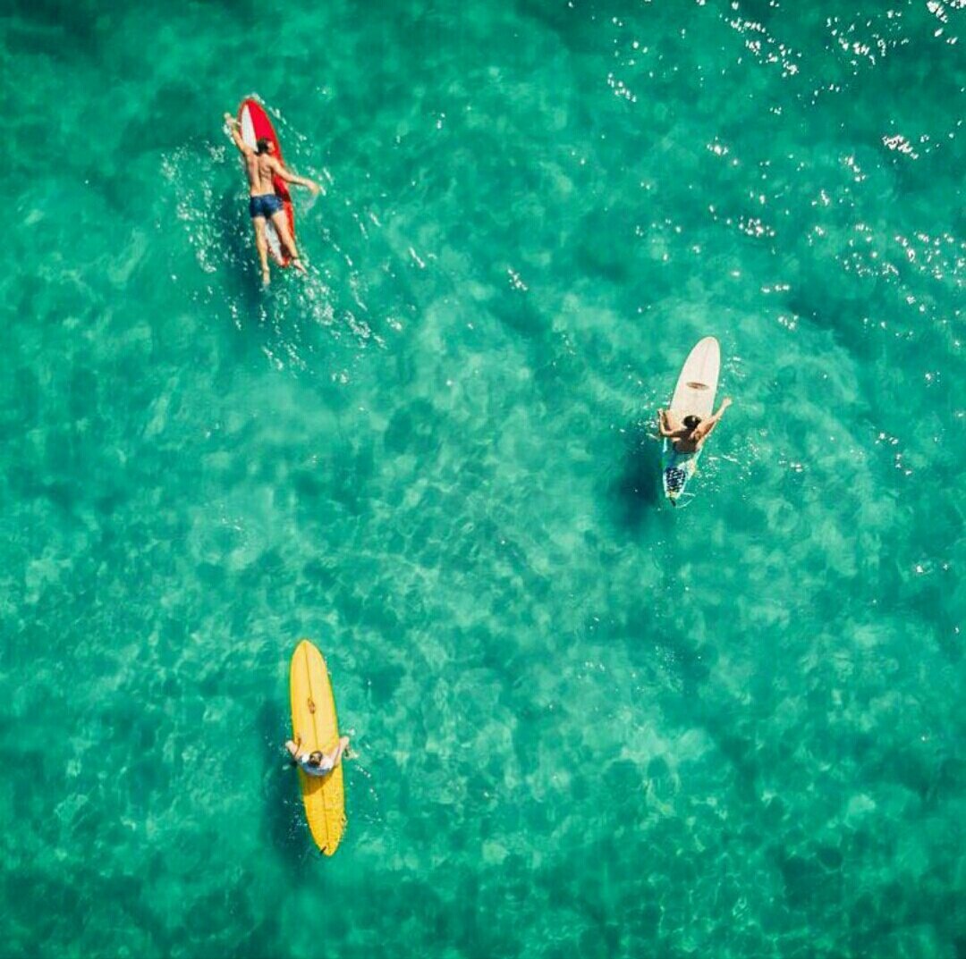 quinnzel22's tweet photo. So Good to be Home 😎❤🏄🇦🇺
#MargotRobbie https://t.co/cu7QFNjlg2