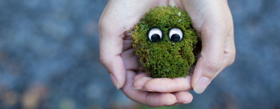 CARTIFCT's tweet photo. ¿Cuáles son nuestros objetivos sostenibles para 2018? En #BlogCARTIF2017, la investigadora @laurapablosRD de @CARTIFCT, nos animaba a ☘️'pensar en verde'🌱. Este y todos los años https://t.co/ourY7S5OMy https://t.co/NuqBVntKSL
