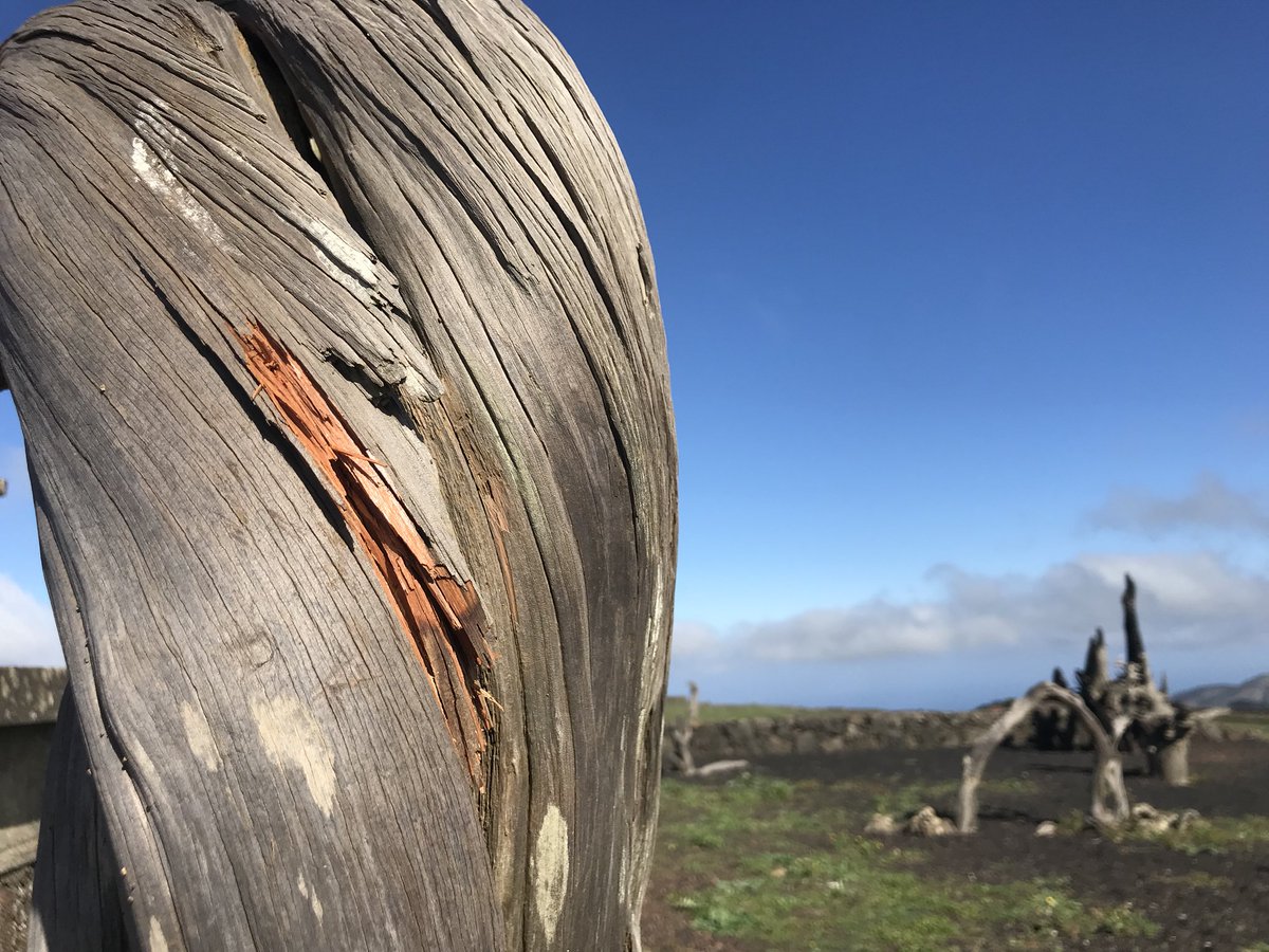 BassoLanzone's tweet photo. Haciendo #historia en las #excursiones .
Con 30 personas desde #Tenerife vamos a #visitar #ElHierro y cada vez seremos más!!!
#BassoLanzone #GetHoliday https://t.co/tfsE0qA9BI