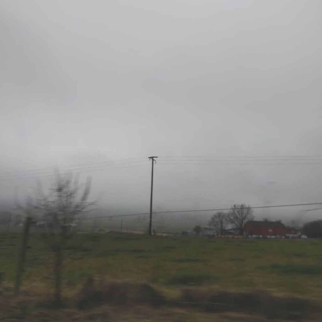 ace_weaver's tweet photo. #icchristmasphotochallenge day 27: #viewoutside. So gloomy and foggy and rainy. The old year is almost gone, the new almost here. We are part of a world in between (or are we in the upside down?). I feel strange. Stranger than usual.
#fog #nebel #countryside #landscape #alt… https://t.co/frkDqbBgqL