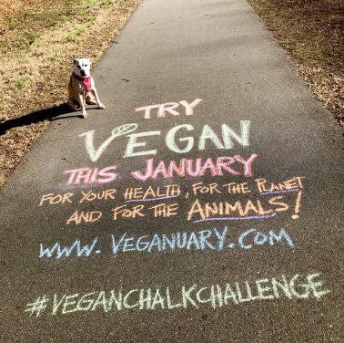 Veganuary tweet media