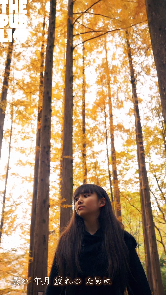 🆕新着公開🆕

中原中也「秋の日」を読む。
紅葉が照り輝く公園を歩く。

🍁📖THE GIRL📖🍁
『朗読ガール - 石橋宇輪 in 生田緑地』
📲 youtu.be/wdHLlHW2LCE