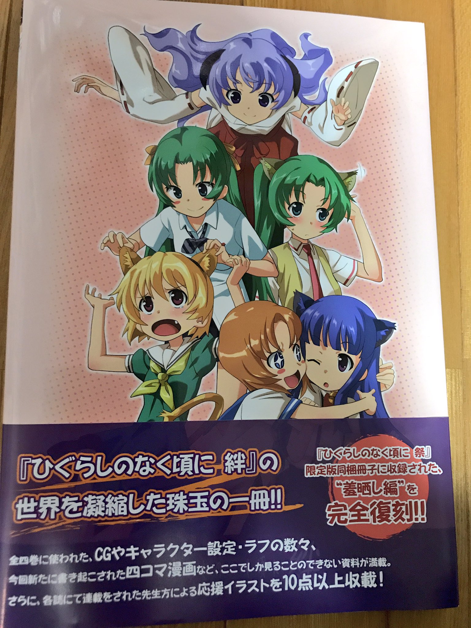 羽入だらけhotondo業 第1羽入目 ひぐらしのなく頃に絆 4巻 限定版特典ビジュアルブック 限定版特典の1つ 発売日 10年2月25日 価格 8190円 ひぐらし祭 絆の設定資料集 立ち絵のあるキャラは全て収録 羽入もハィ リューンもあります 応援イラストも