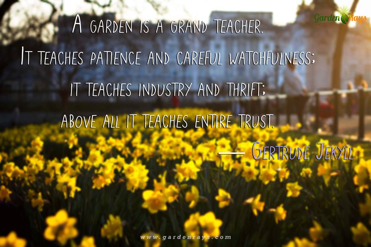 gardenrays tweet picture