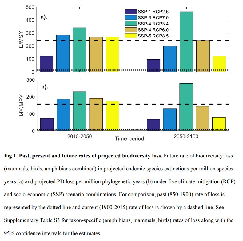 _PhilMartin's tweet photo. Cool looking paper predicting biodiversity losses under scenarios of future global change in @biorxiv_ecology - Some scenarios help to reduce climate change &amp; biodiversity loss but only if habitat protection is included in strategy. https://t.co/FnZ5tnwvez https://t.co/JRJDdkQMxM