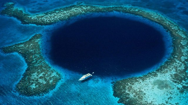 benwonx's tweet photo. นักวิทยาศาสตร์ ม.นิวคาสเซิล สำรวจสัตว์น้ำใน Mariana Trench จุดที่ลึกที่สุดของมหาสมุทรโลก โดยว่าพบสัตว์ตัวอย่างทุกตัวที่เลือกมาทดสอบมีพลาสติกอย่างน้อย 1 ชนิดอยู่ในระบบย่อยอาหาร แสดงให้เห็นว่าวิกฤตขยะพลาสติกในทะเลขยายวงกว้างมาถึงสัตว์ในร่องน้ำลึกแล้ว https://t.co/tXRJSDUP8p