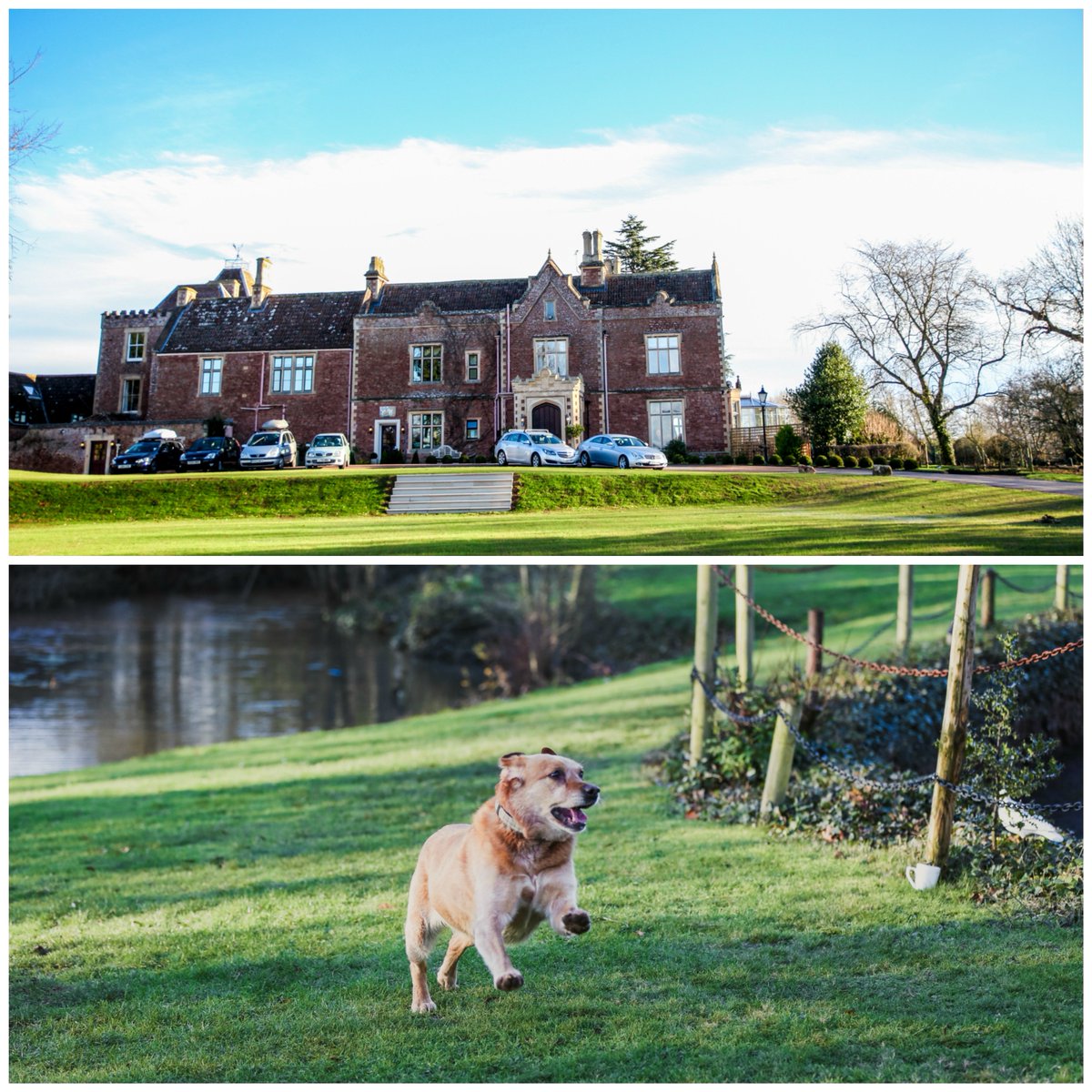 Yet another beautiful venue - Cannington Grange!  Perfect for a photoshoot!
#familygettogethers #winterphotoshoots #somersetphotographer