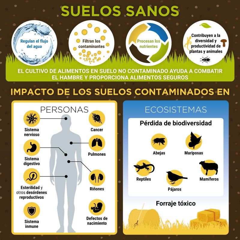 unep_espanol's tweet image. El equilibrio natural que nos sustenta depende de la salud de los suelos. Conoce por qué necesitamos tierra y suelos #SinContaminación: bit.ly/2AX8bI2