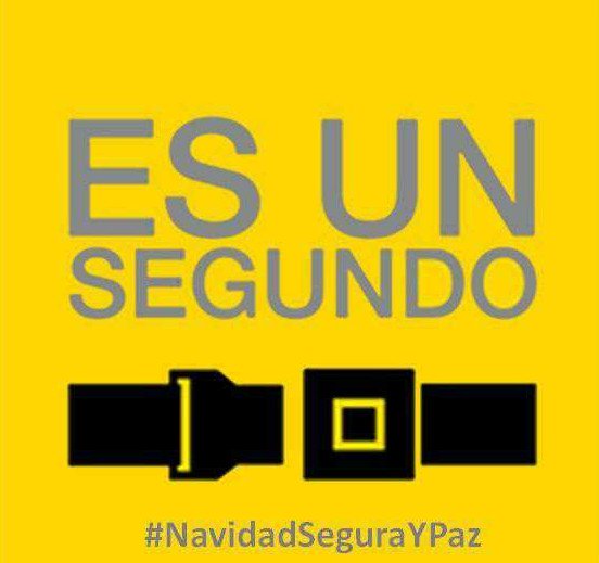 PCMirandaZulia1's tweet photo. Están diseñados para retener a las personas en sus asientos en caso de un accidente, y así reducir, lesiones https://t.co/8z3ecG8Lt4