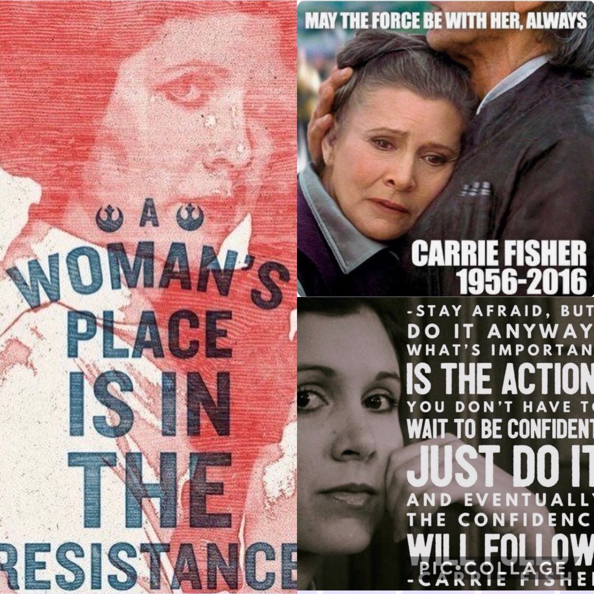 michelled1121's tweet photo. #CarrieFisher #stayafraidbutdoitanyway #wemissyouCarrie https://t.co/dOSPWnO7Ka
