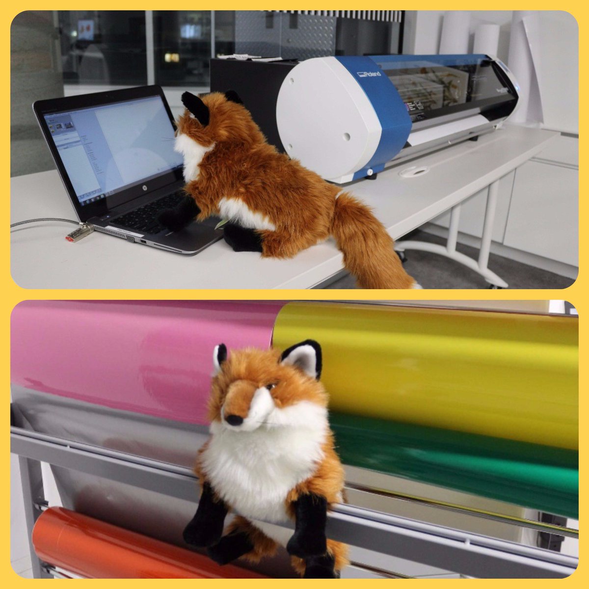 HamiltonLibrary's tweet photo. #HPLScout is busy setting up a #3D project at our #HPLCentral #Makerspace. Has deadlines to meet for the #NewYear! So many vinyl colours to choose from ... which to choose, which to choose! #HamOnt https://t.co/F7eiGHFiSm https://t.co/lfxEAWswKn