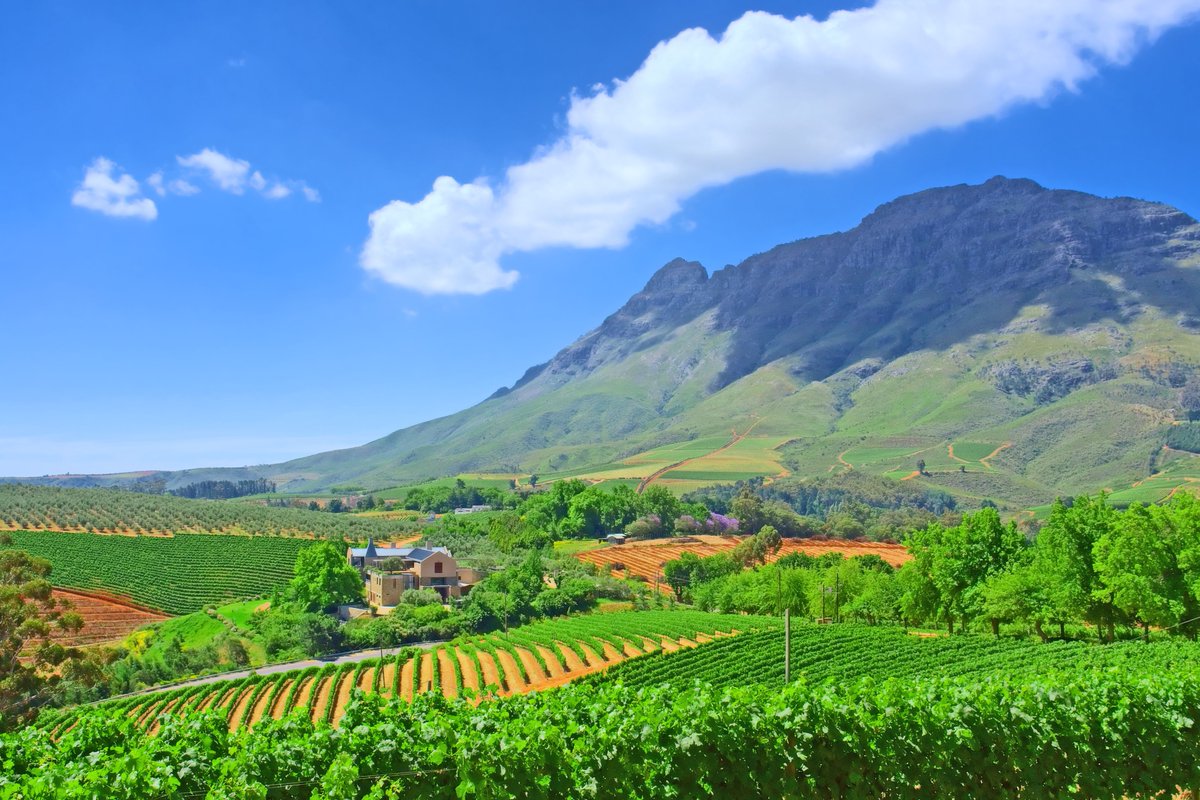 Luxury_Trips's tweet photo. Whisk away to the Winelands in South Africa, where you’ll experience one of the greatest wine and food destinations in the world. https://t.co/Uq5CmRCEGb