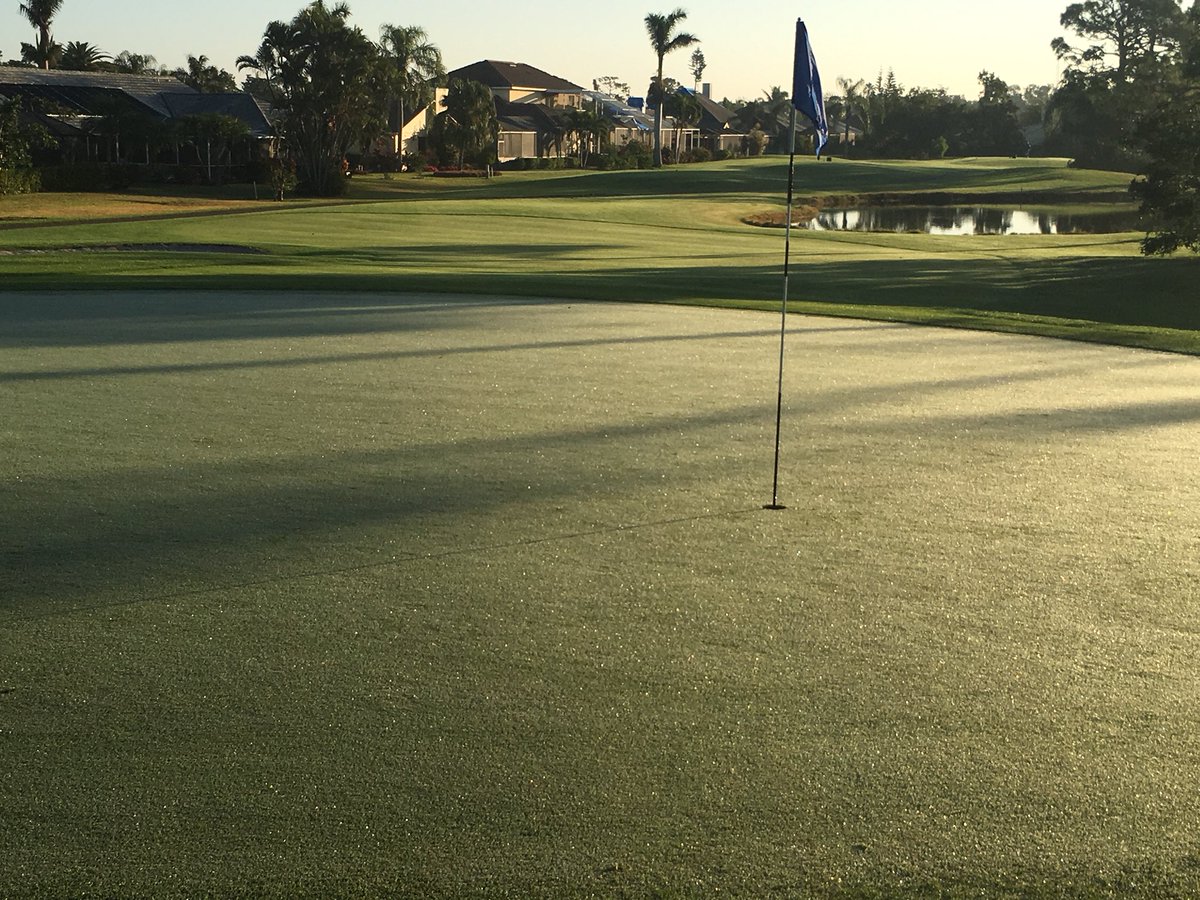 Looking good this morning at Spanish Wells. Small but great staff getting it done.