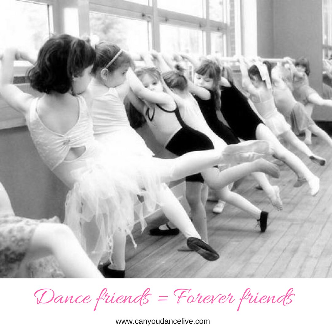 Can You Dance? tweet media