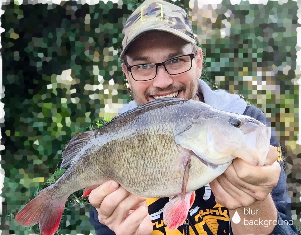 Winter chunk #zman #perchfishing <a href="/ikeliveshow/">Ike_Live</a>