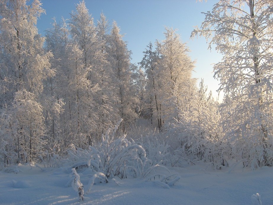 GermanXmasStore's tweet photo. Do you like #winter? https://t.co/aU4hKGeGDP