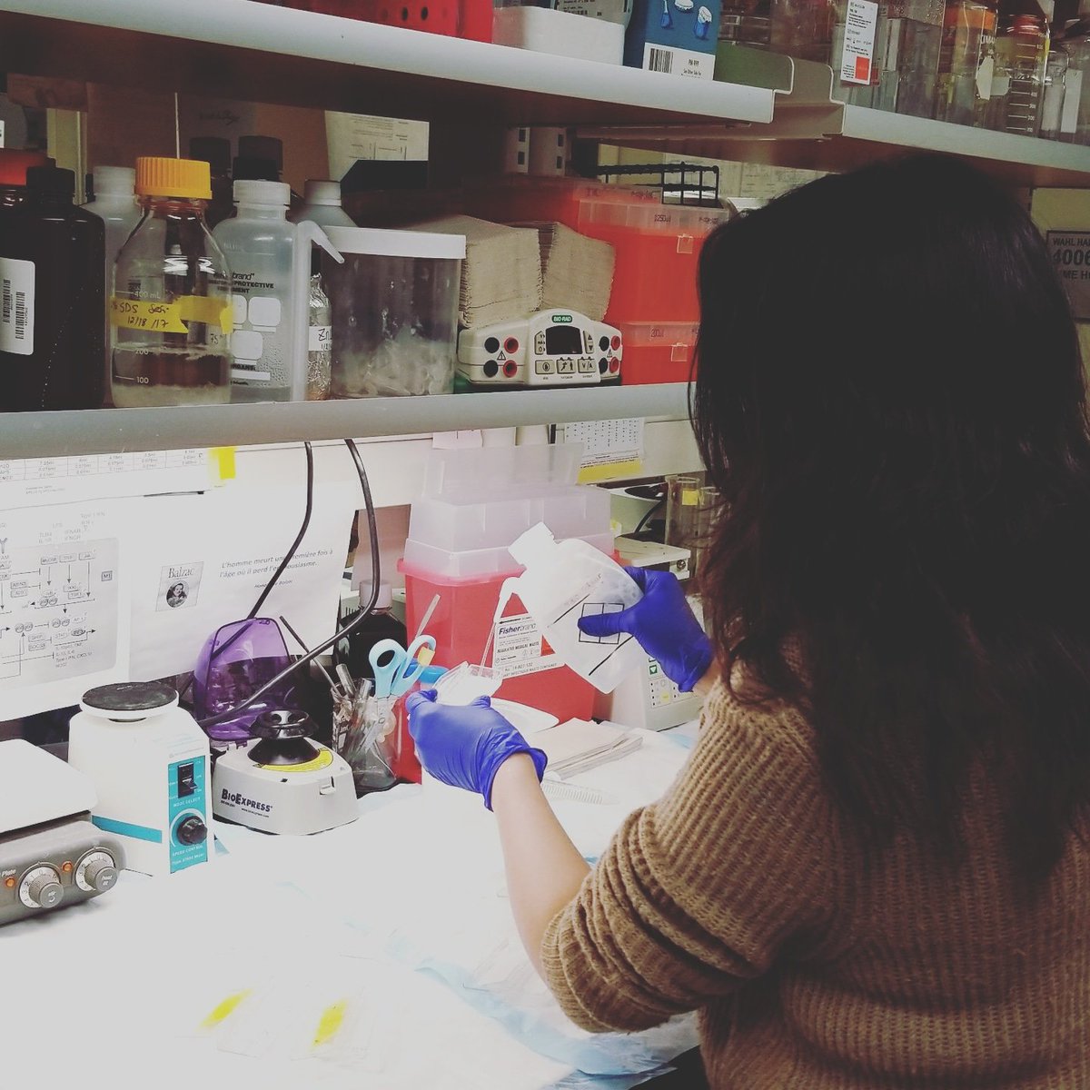 hichrisperry's tweet photo. #exosome enthusiast @SafiAtay grinding that 3am #cancer #research at @KUcancercenter https://t.co/sRy0XKknNz
