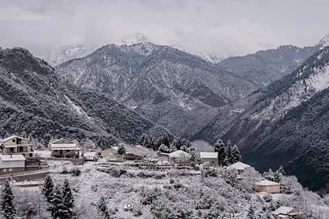 staurosrania's tweet photo. Home....Let it snow 🌲❄🌲❄ https://t.co/haUN1I8dQJ