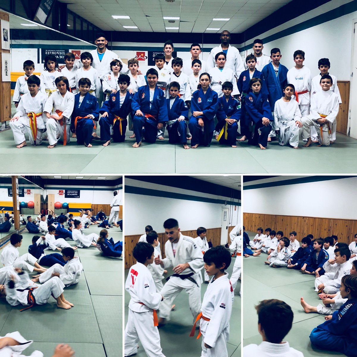 AlianzaKSV's tweet photo. Concentración BENJAMÍN DE JUDO! 🥋🎄🎁, los judoc@s de 3 y 4 de EP despiden el año concentrados en Rafael Florido! @PMDAlmeria @aytoalm @Syngenta #judo https://t.co/aWFb6iPHlS
