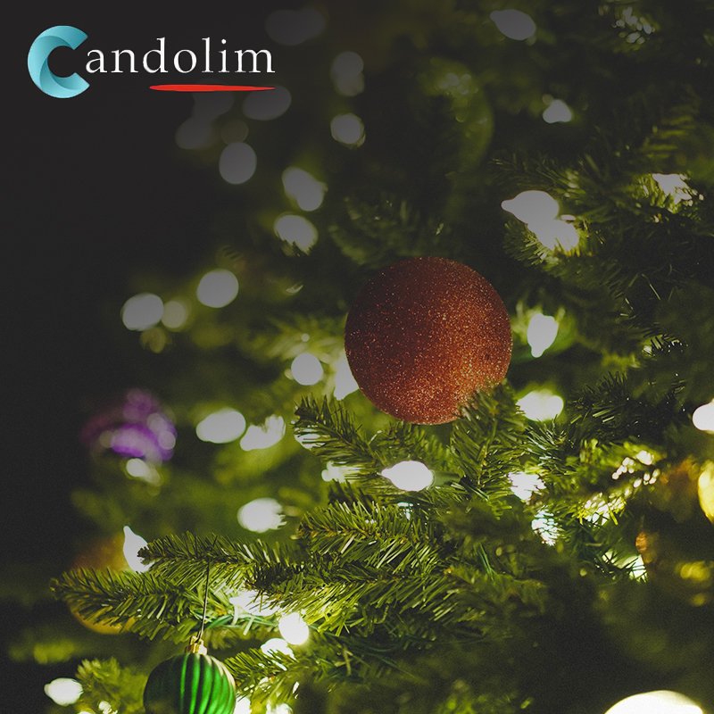_Candolim's tweet photo. Did you know?

The tradition of New Year's resolutions dates all the way back to 153 B.C.

#candolimrestaurant #stalybridge... https://t.co/hisvTvZ5LI