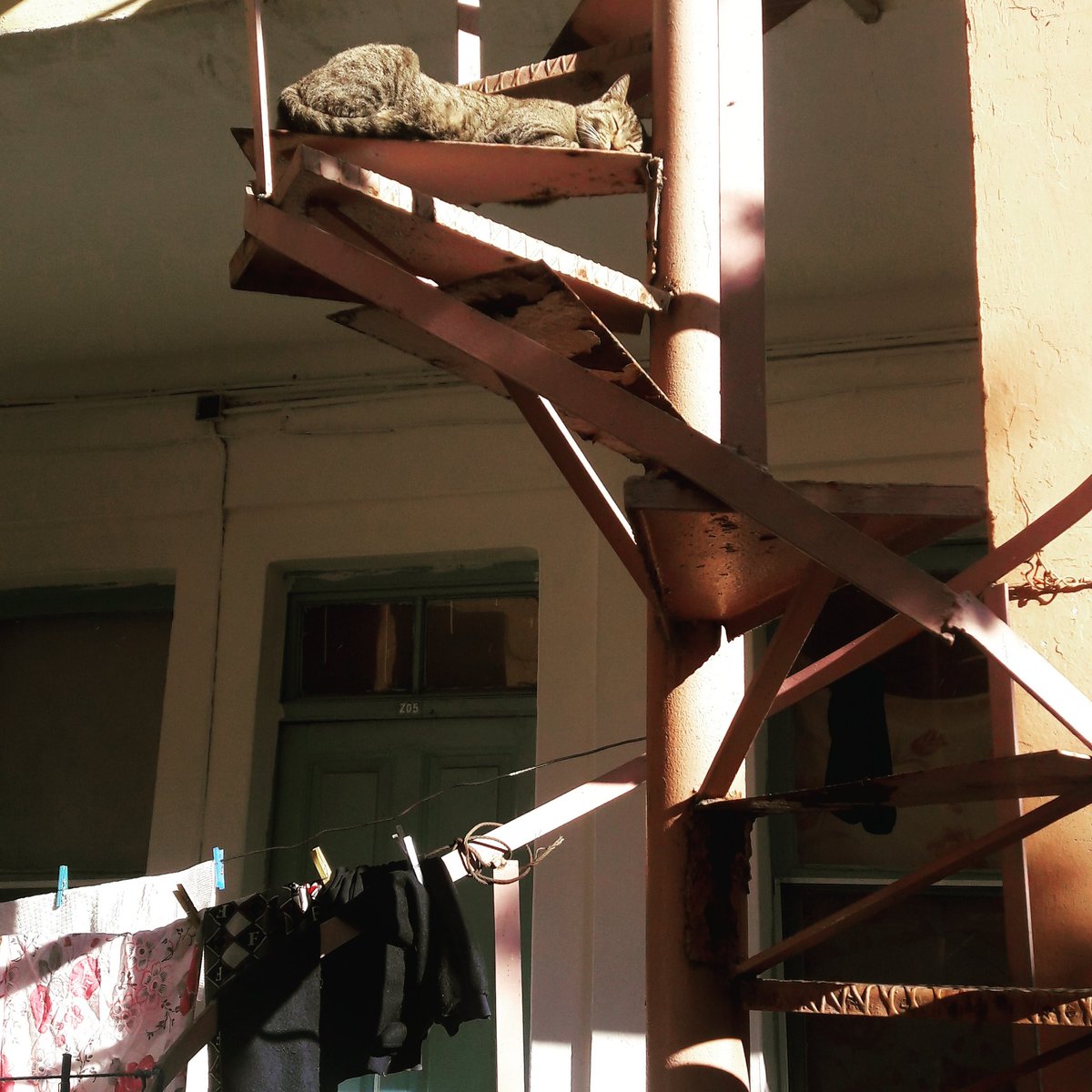 <a href="/FidanYetis/">Yetiş Fidan MUTLU</a> <a href="/basmane/">eren irfan ateş</a>#kedi