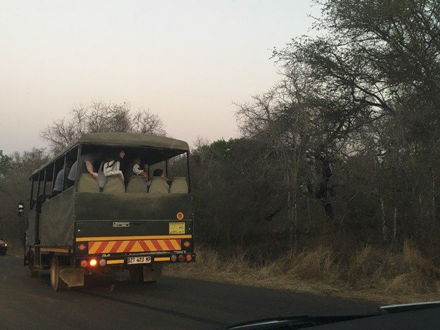 viajenoblog's tweet photo. O que não muda é que você vai precisar de sorte, estratégia e muita persist��ncia para ver leão, leopardo, rinoceronte, elefante, búfalo, girafa, hipopótamo, zebra, entre outros animais. Cada game drive feito desperta um fascínio diferente – por isso faça o máximo que puder https://t.co/G1uFL1Ludz