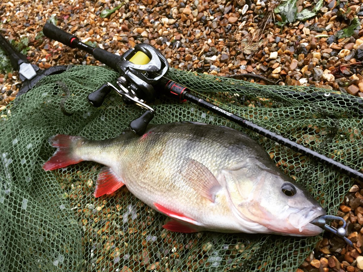 Really enjoying the bfs set up. #bfs #jdm @ShimanoFishUSA <a href="/shimano/">shimano</a>